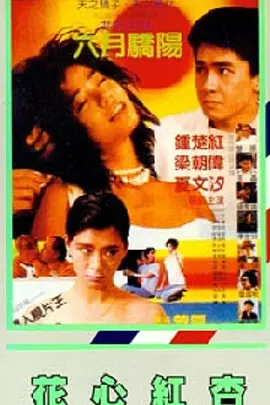 中文字幕免费高清电视剧网站在线观看